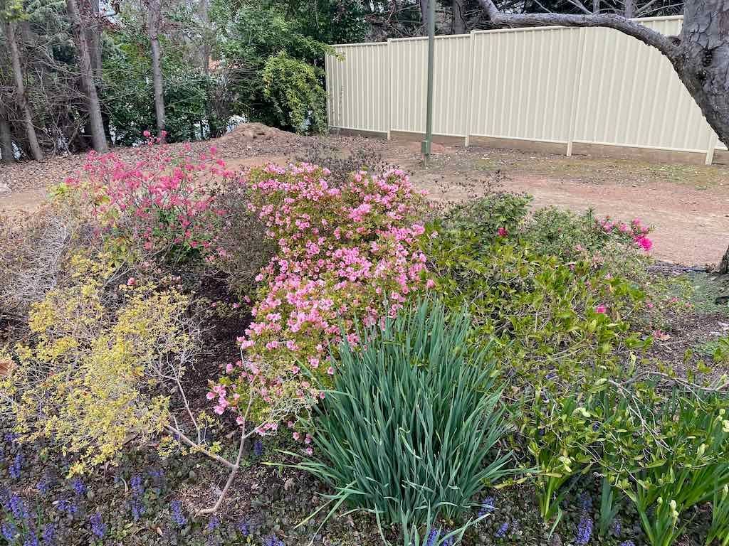 Cockington Green 2022 Canberra Image -632d05173430a